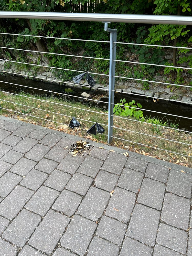 Giftköder-Glasscherben-Profilbild