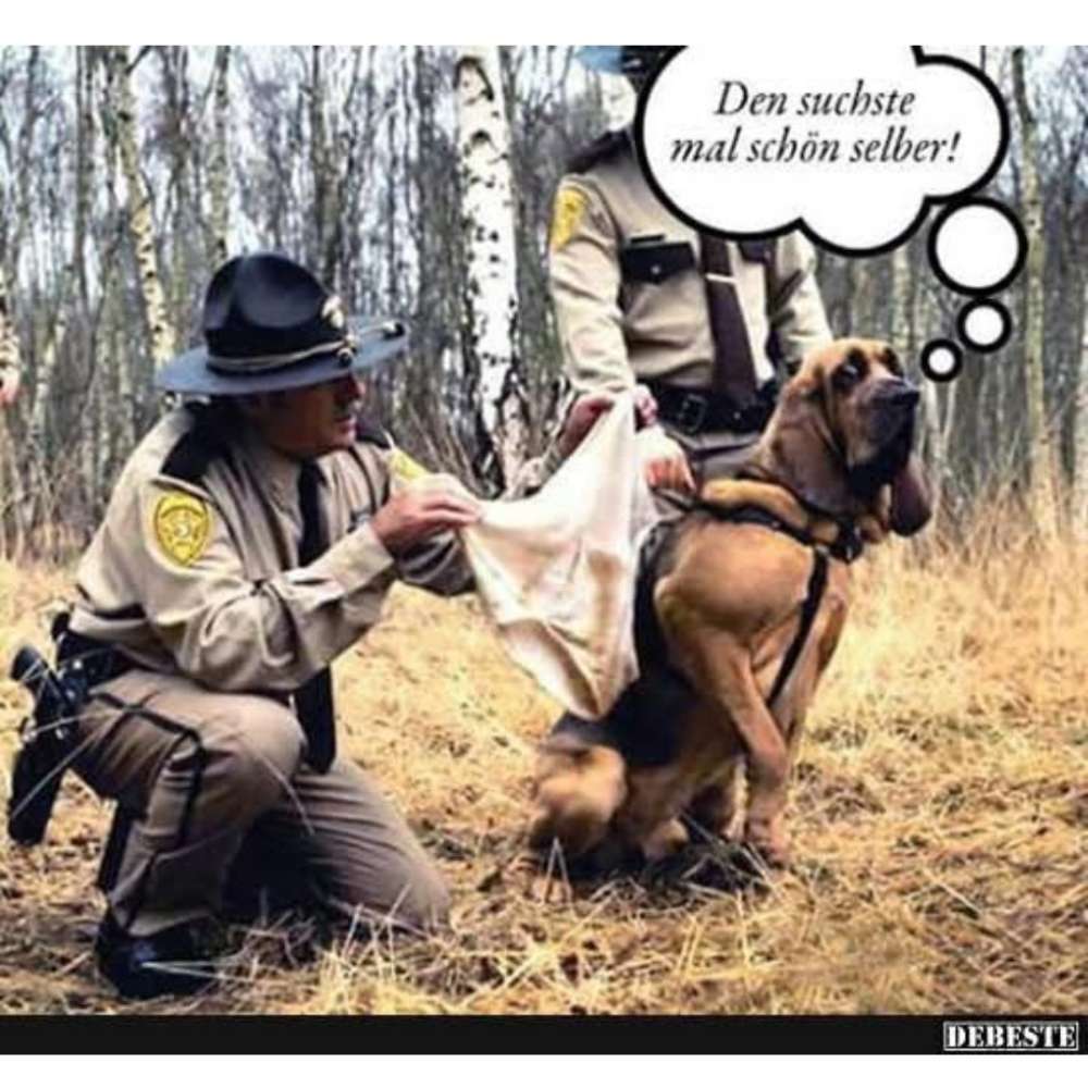 Hundetreffen-Mantrailling-Profilbild