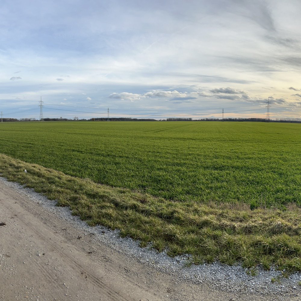 Hundetreffen-Barby-Profilbild