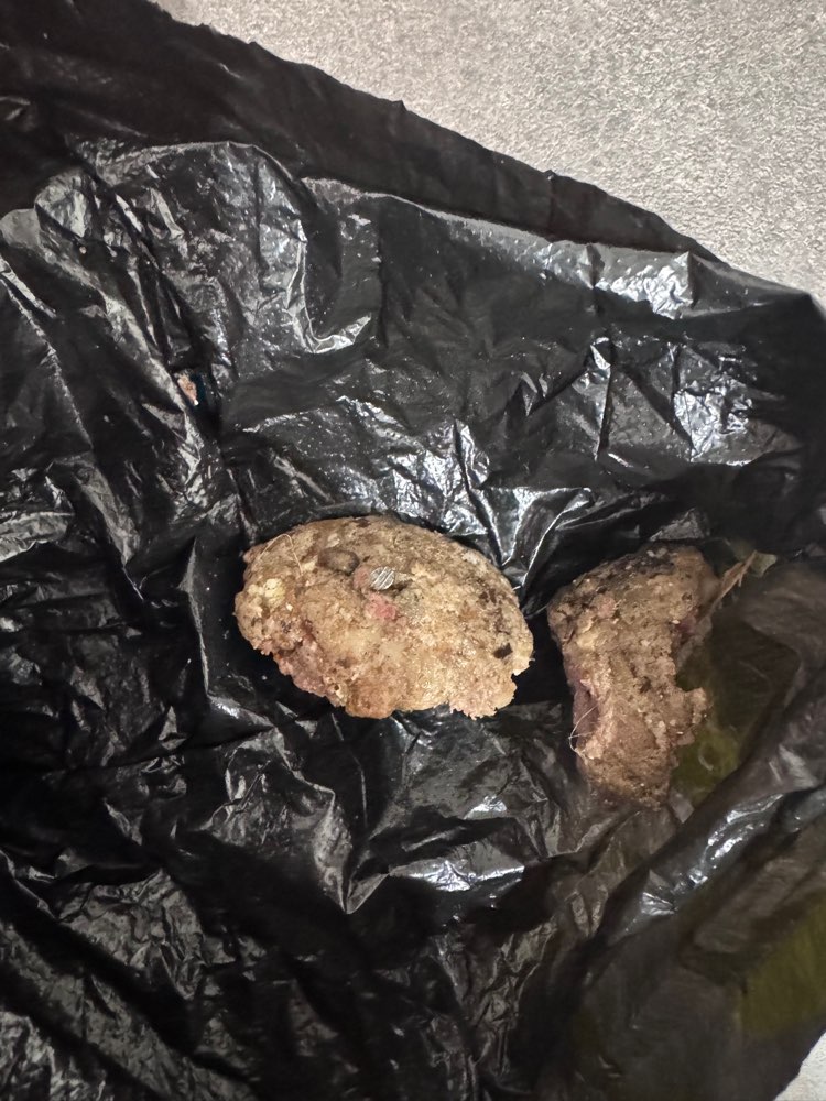 Giftköder-Nassfutter mit Nägeln-Profilbild