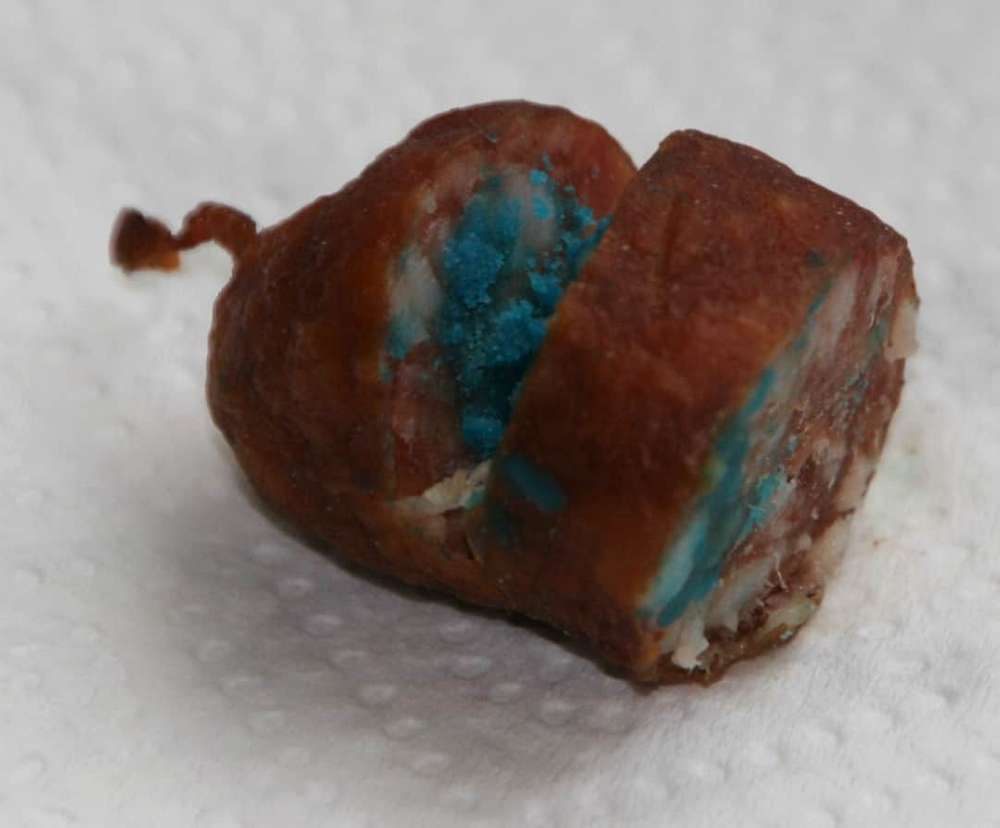 Giftköder-Vergiftete Wurst-Profilbild