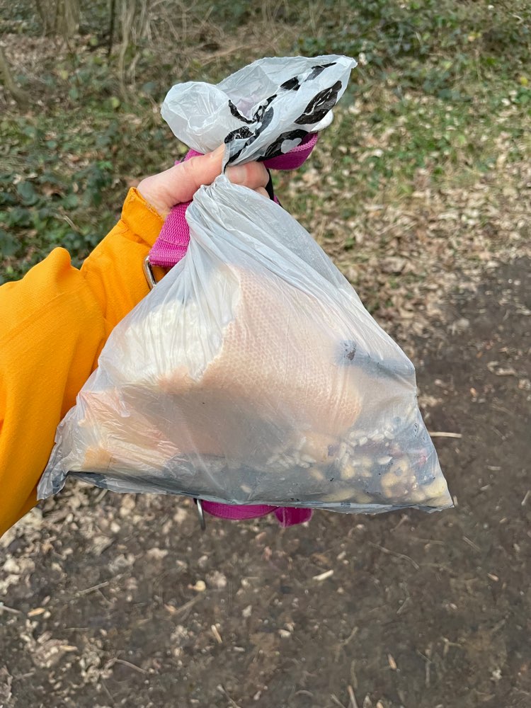 Giftköder-Rosinen, Nüsse, Brot ausgelegt-Profilbild