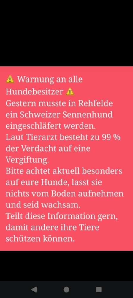 Giftköder-Guftköder-Profilbild
