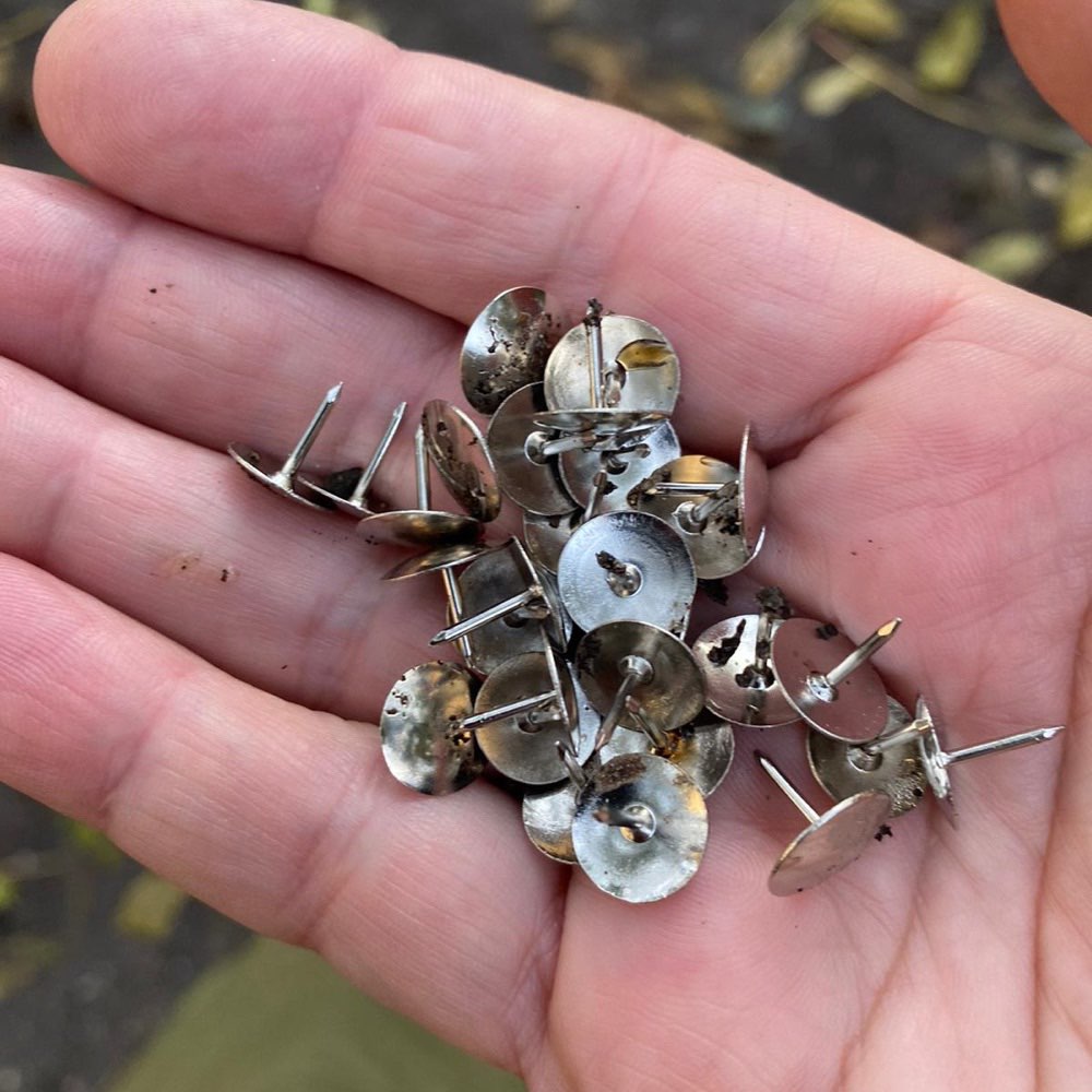 Giftköder-REISSZWECKEN AUF  HUNDEPLATZ AM KOSMOS-Profilbild