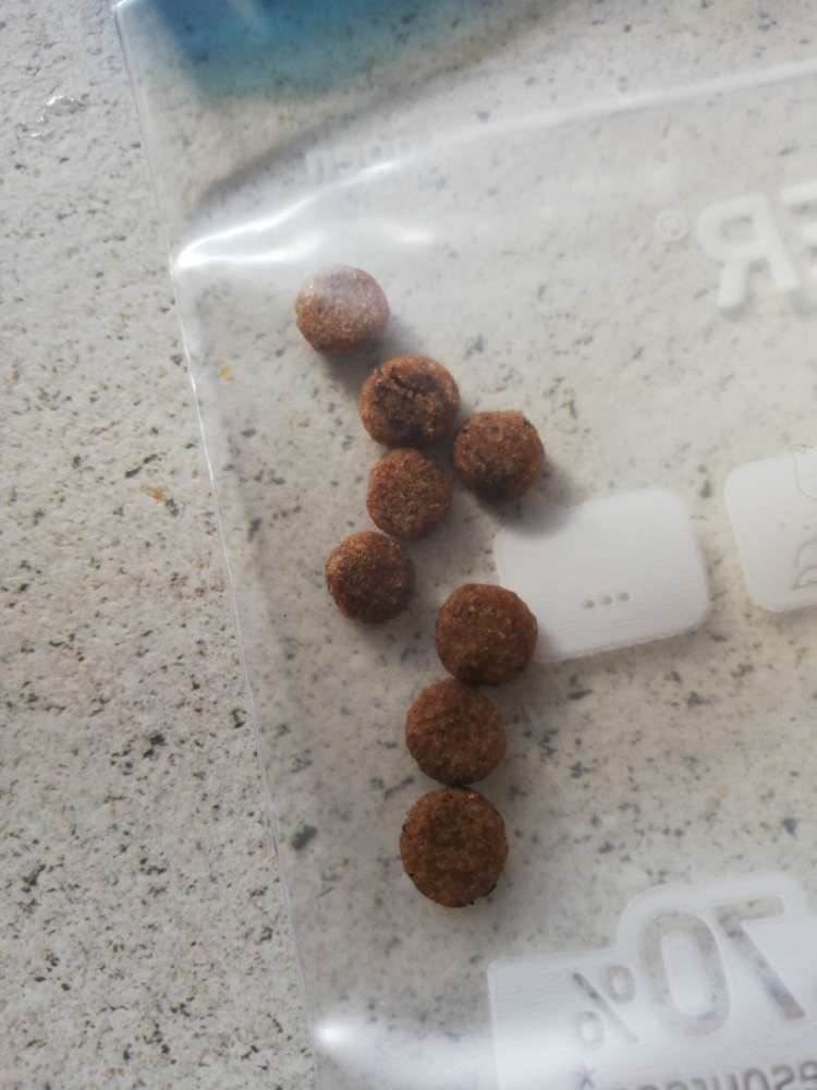 Giftköder-Möglicher Giftköder-Profilbild