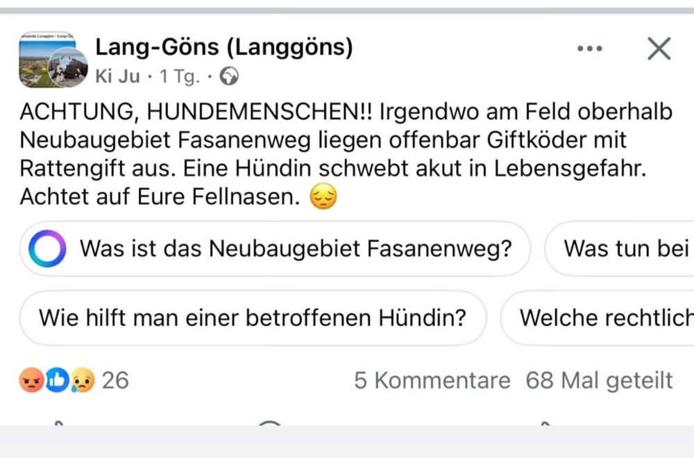 Giftköder-Vermutlich Rattengift/ Giftköder-Profilbild