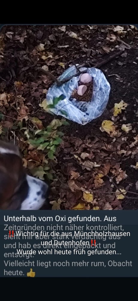 Giftköder-Evtl Giftköder Münchholzhausen & Dutenhofen-Profilbild