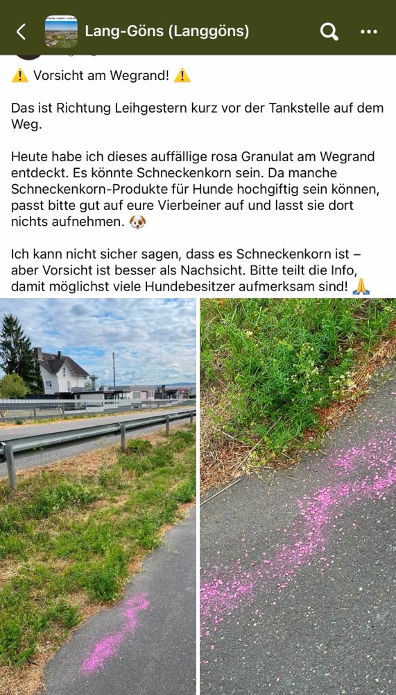 Giftköder-Evtl Rattengift-Profilbild