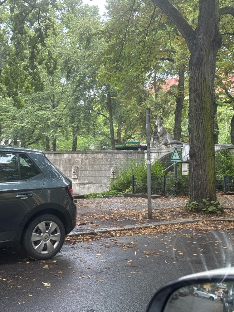 Giftköder-Eichenprozessionsspinner-Profilbild
