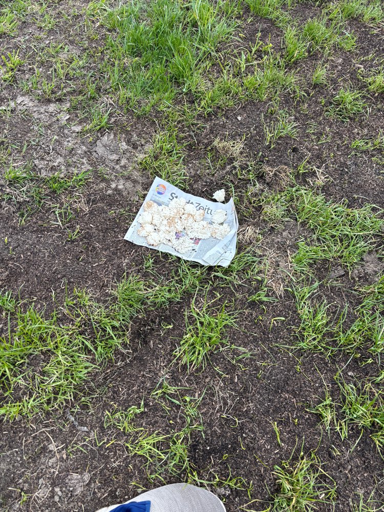 Giftköder-Unbekannt evtl Giftköder-Profilbild