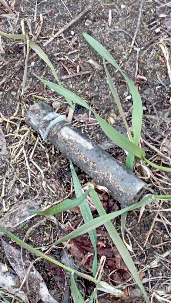 Giftköder-Köder-Profilbild