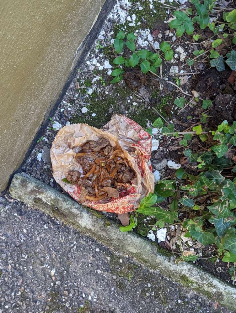 Giftköder-möglicher Giftköder-Profilbild