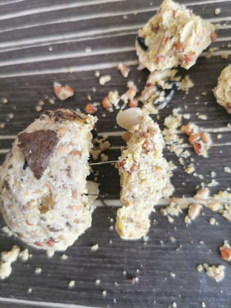 Giftköder-Maisknödel mit Stecknadeln-Profilbild