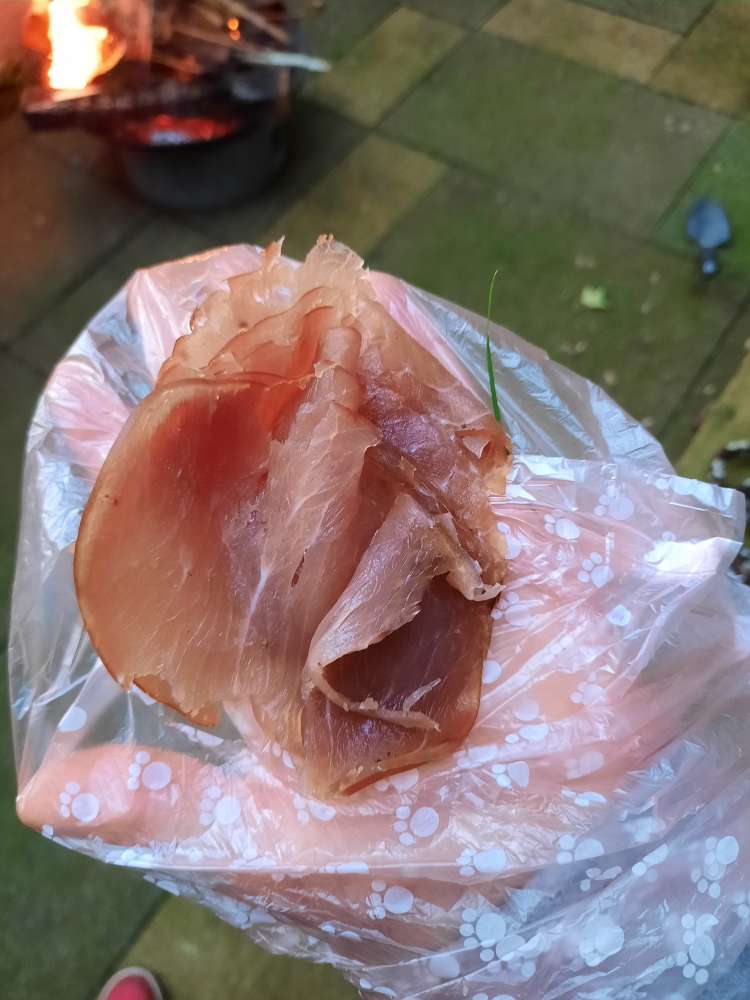 Giftköder-Schinken verteilt-Profilbild