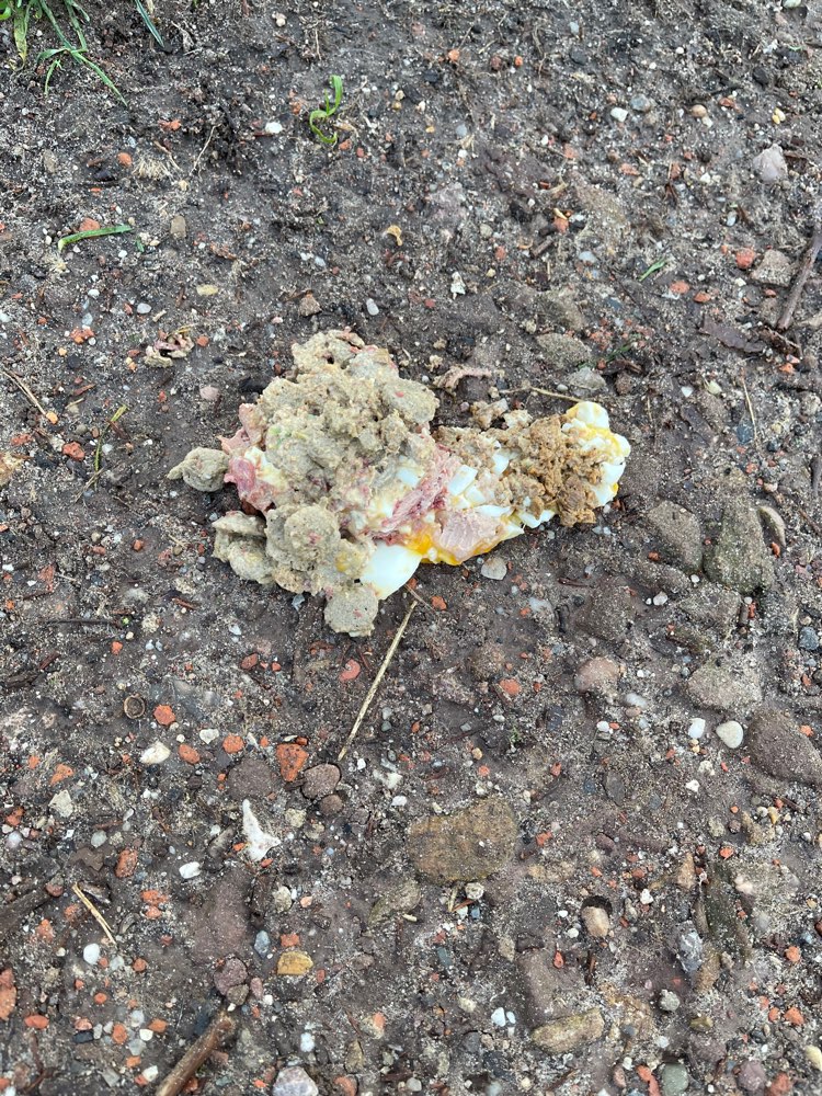 Giftköder-Giftköder-Profilbild