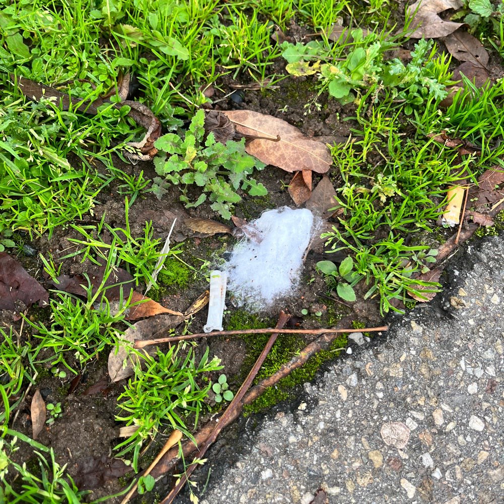 Giftköder-Schaumähnliches Rattengift-Profilbild