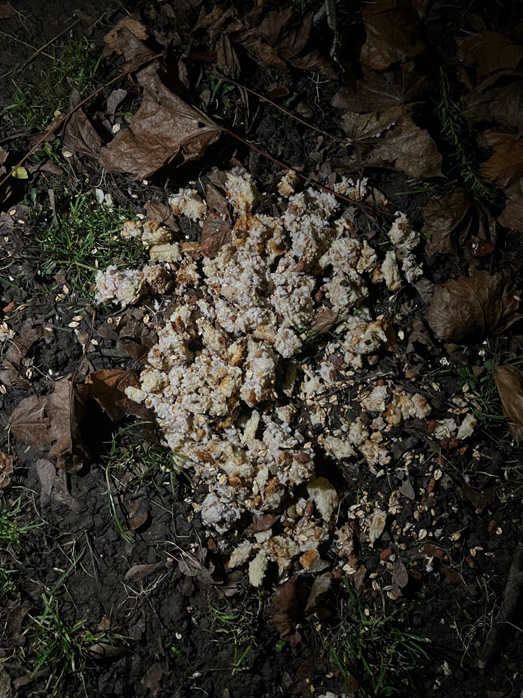 Giftköder-Verdacht auf Giftköder!!!-Profilbild