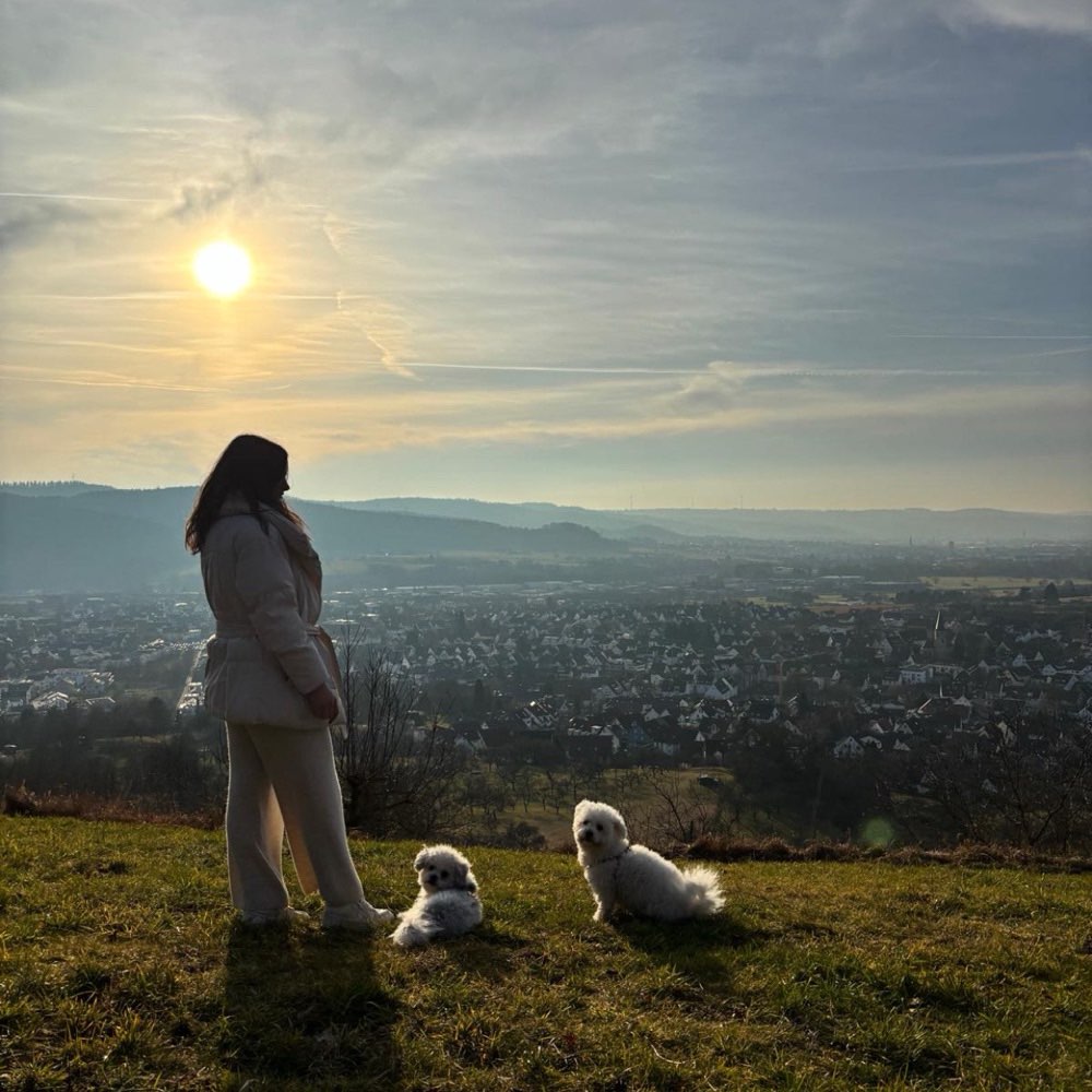 Hundetreffen-Gassirunde + Trainingseinheiten + freies Spielen am Ende  ->kleine Hunde-Profilbild