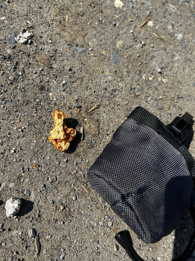 Giftköder-Vermutlicher Giftköder-Profilbild