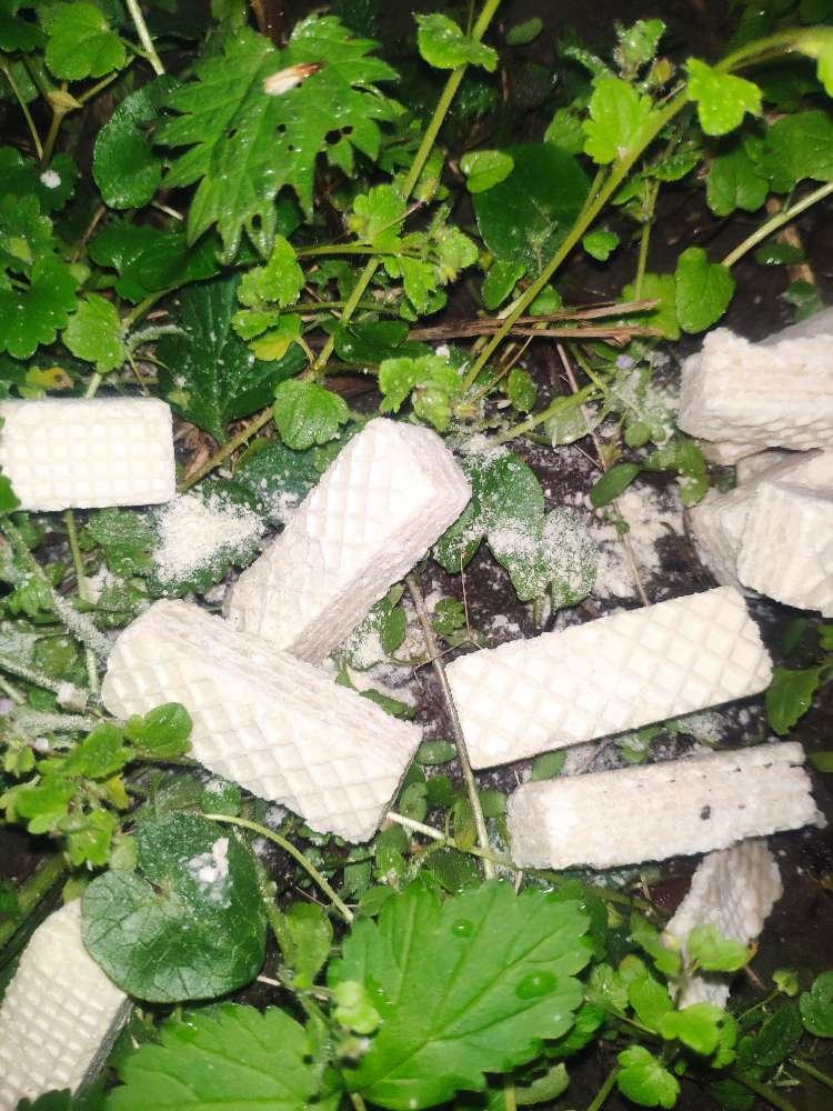 Giftköder-Waffeln mit weißem Pulver-Profilbild