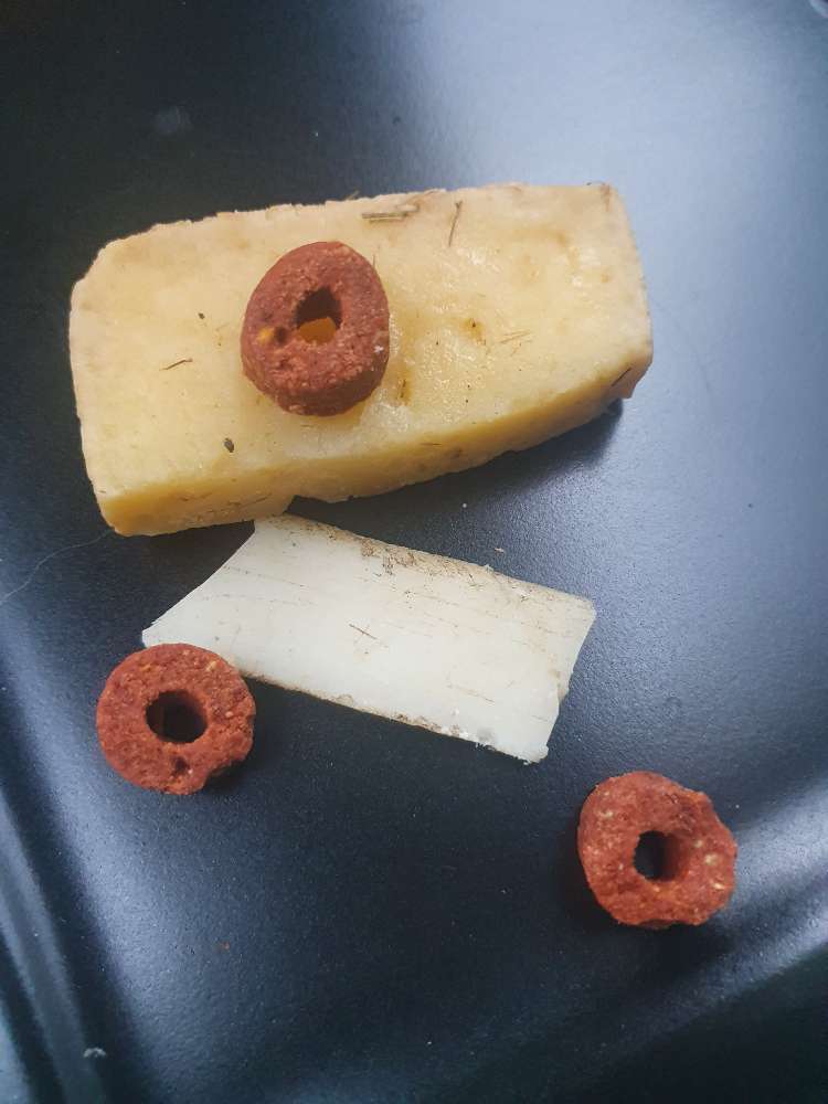 Giftköder-Frolic und Käsestücke Kreuzlingerfeld-Profilbild