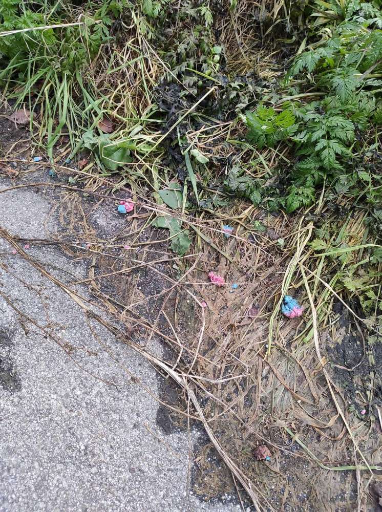 Giftköder-Giftköder-Profilbild