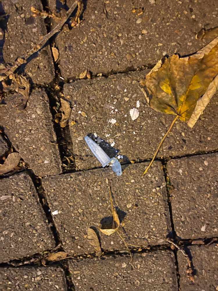 Giftköder-Vermutlich Drogen (Koks o.ä.)-Profilbild