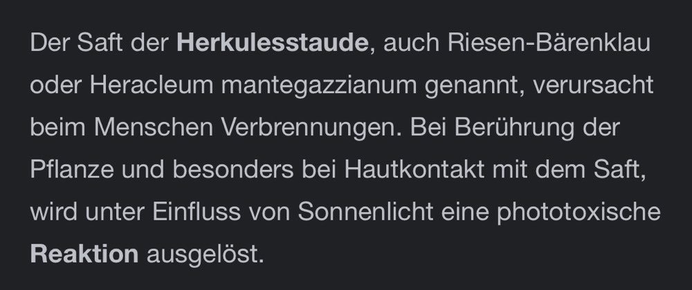 Giftköder-Riesenbärenklau-Profilbild