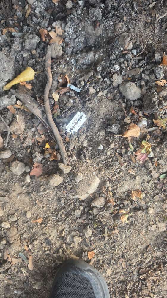 Giftköder-Rasiklingen (Giftköder)-Profilbild