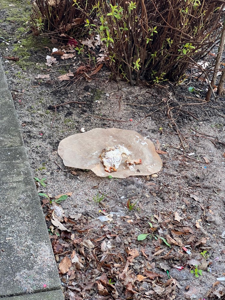 Giftköder-Hähnchenknochen im Gebüsch-Profilbild