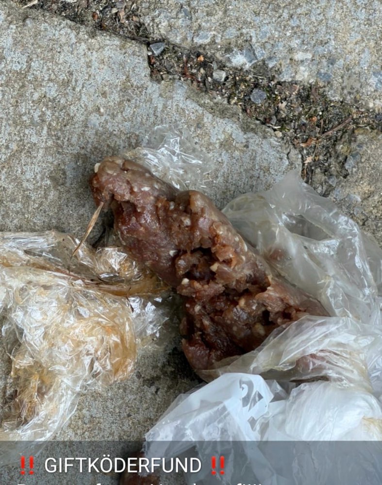 Giftköder-Giftköder Hörnle Simmozheim-Profilbild