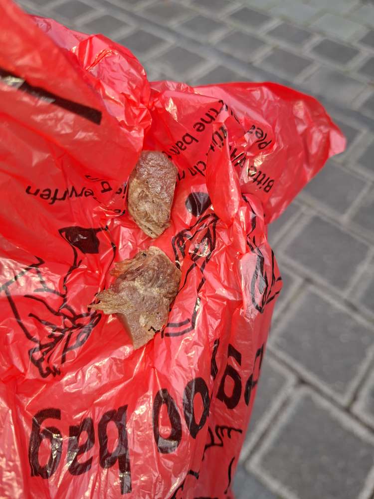 Giftköder-Fraglicher Giftköder-Profilbild