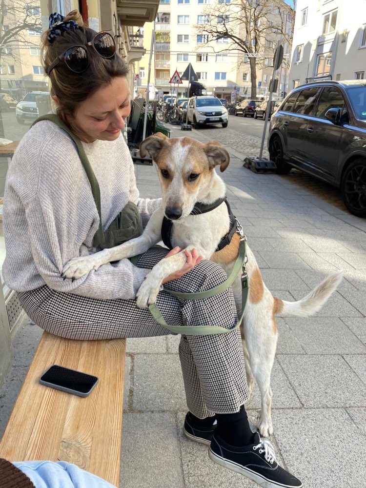 Hundetreffen-Spielen & Trainieren-Profilbild