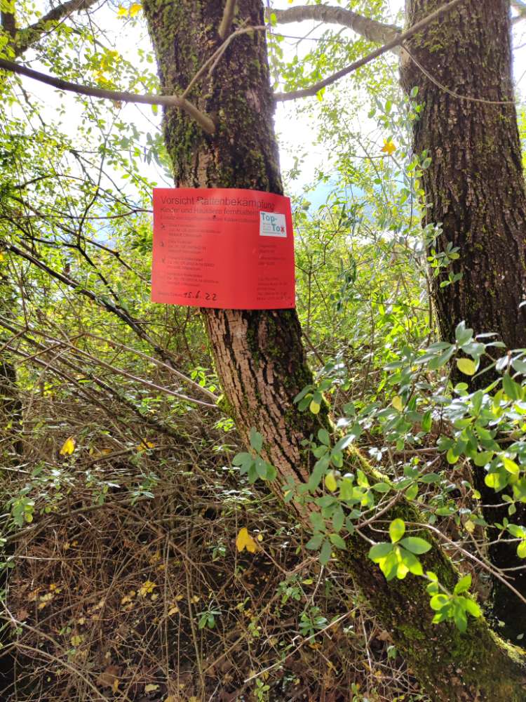 Giftköder-Rattengiftwarnung-Profilbild