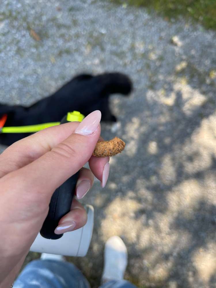 Giftköder-Verdächtige Leckerlies-Profilbild