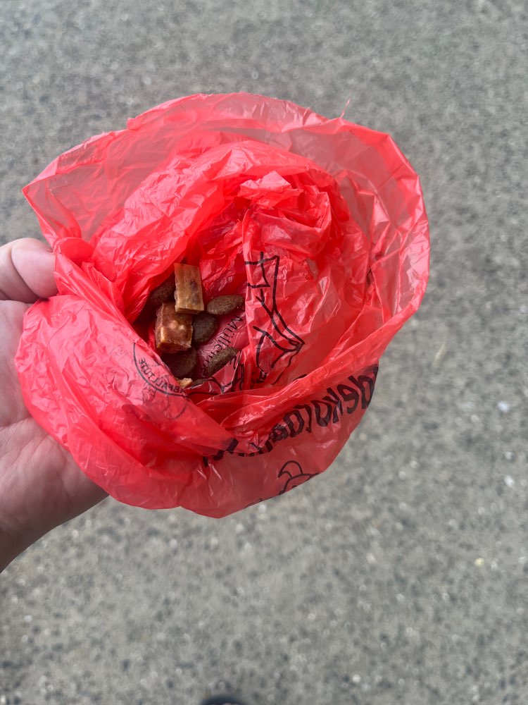 Giftköder-Möglicher Giftköder-Profilbild