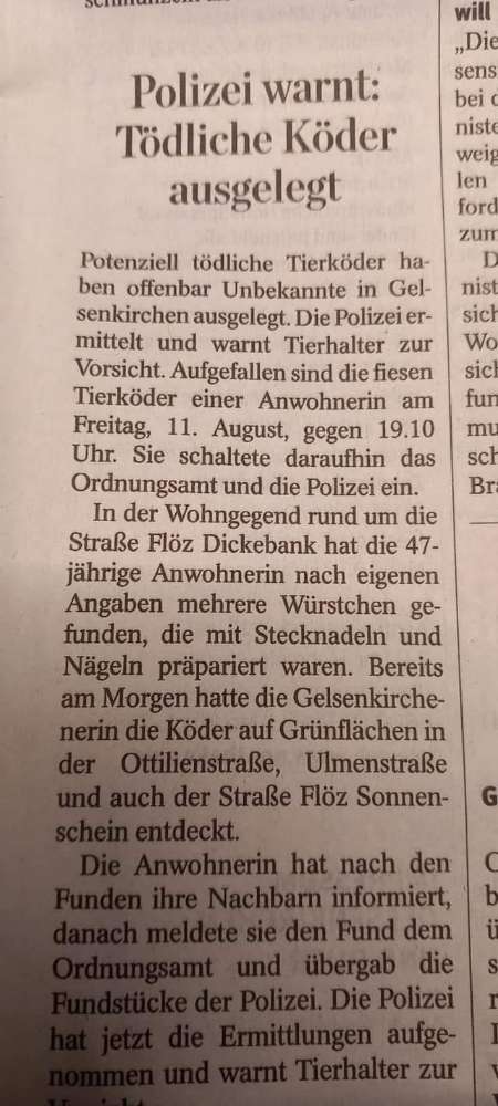 Giftköder-Giftköder-Profilbild