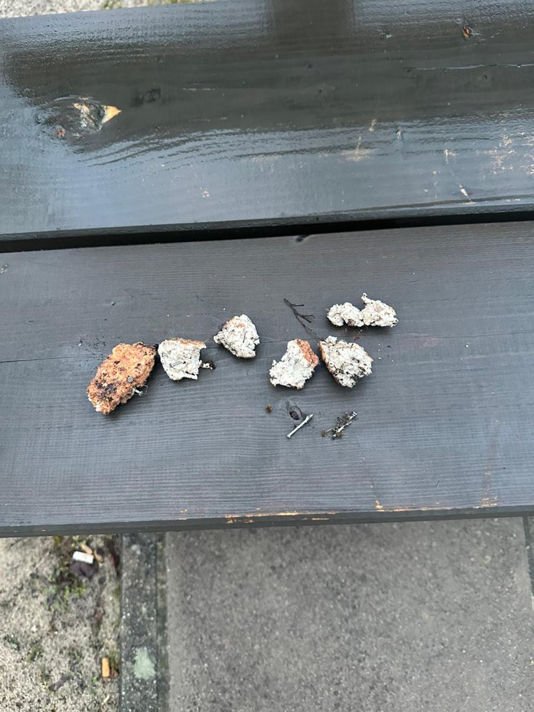 Giftköder-Fleischbällchen präpariert auf der Wiese-Profilbild