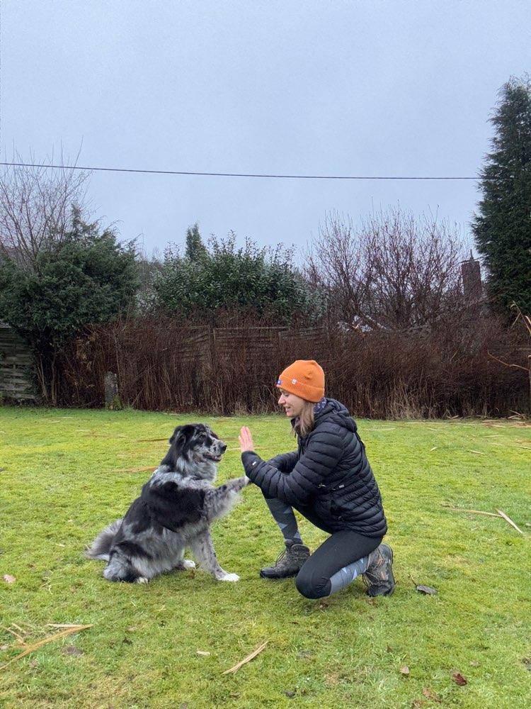 Hundetreffen-Kostenloses Training/Testkunden gesucht-Profilbild