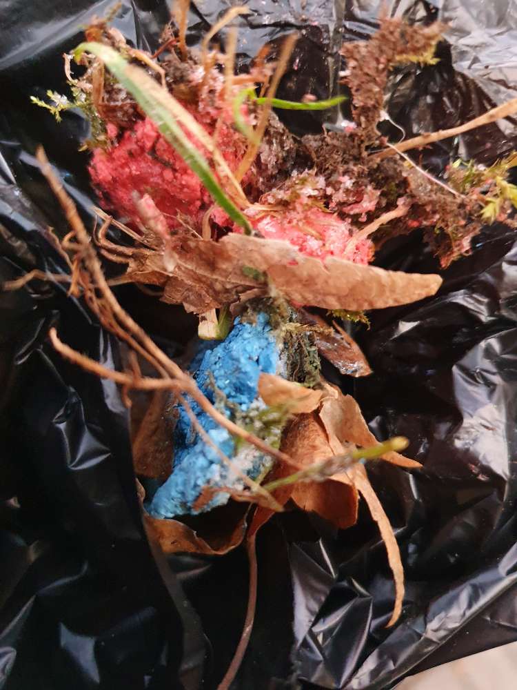 Giftköder-Vermutung Giftköder-Profilbild