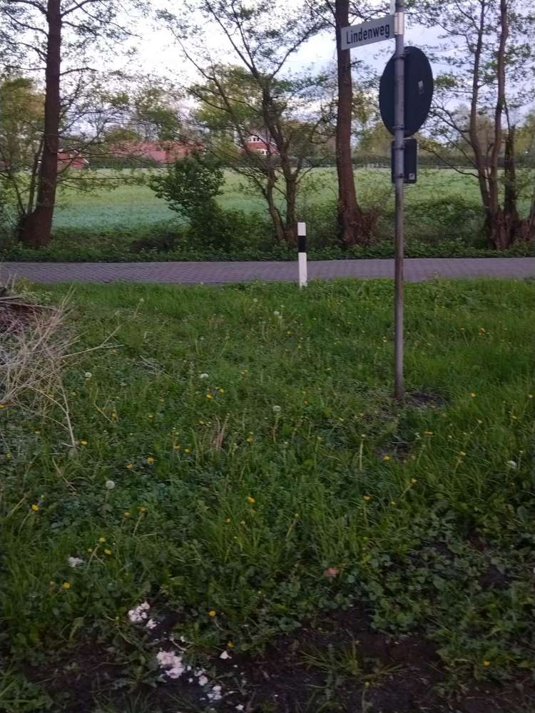 Giftköder-Vermutlich gift-Profilbild