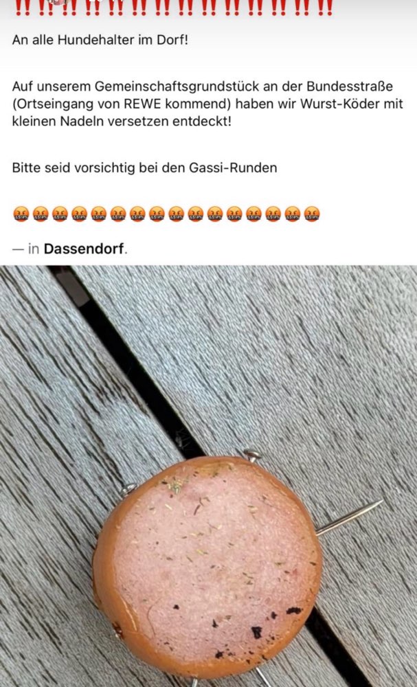Giftköder-Wurststücke mit Nägeln versetzt-Profilbild
