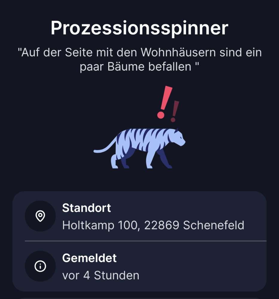Giftköder-Prozessionsspinner-Profilbild