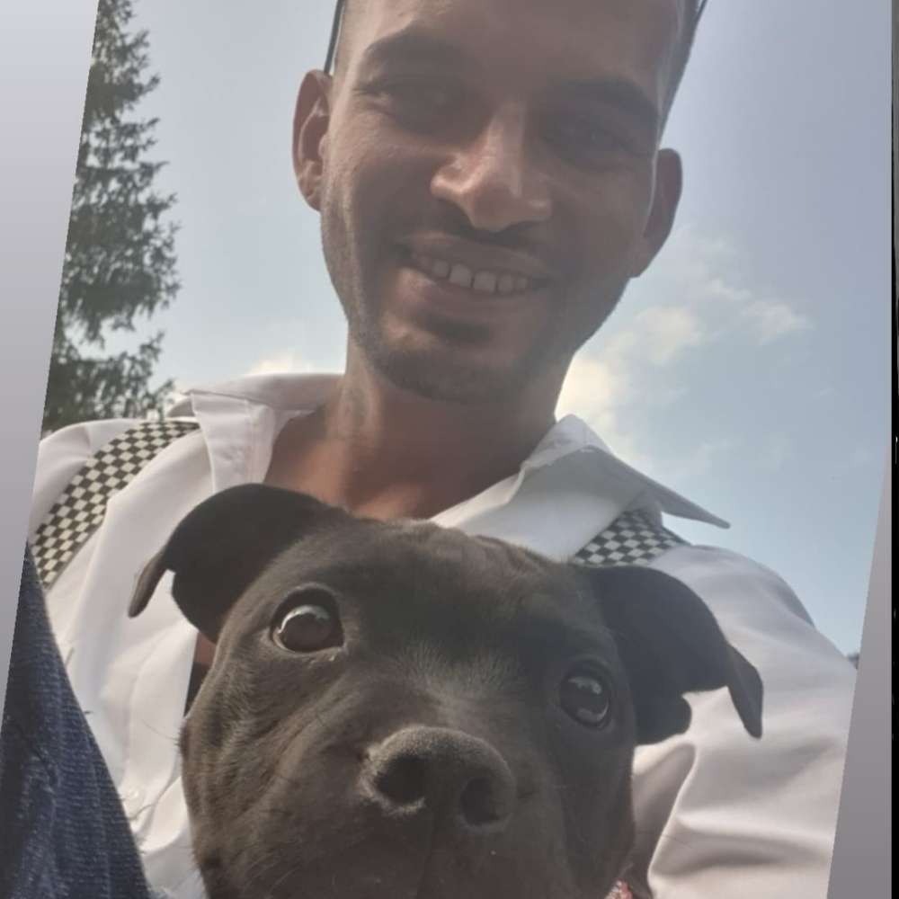 Hundetreffen-Welpenrunde.-Profilbild