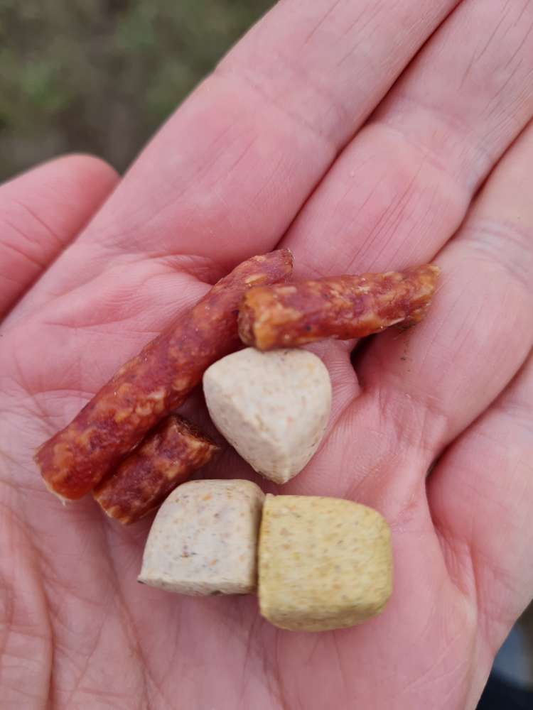 Giftköder-Leckerlibeutel auf der Hundewiese-Profilbild