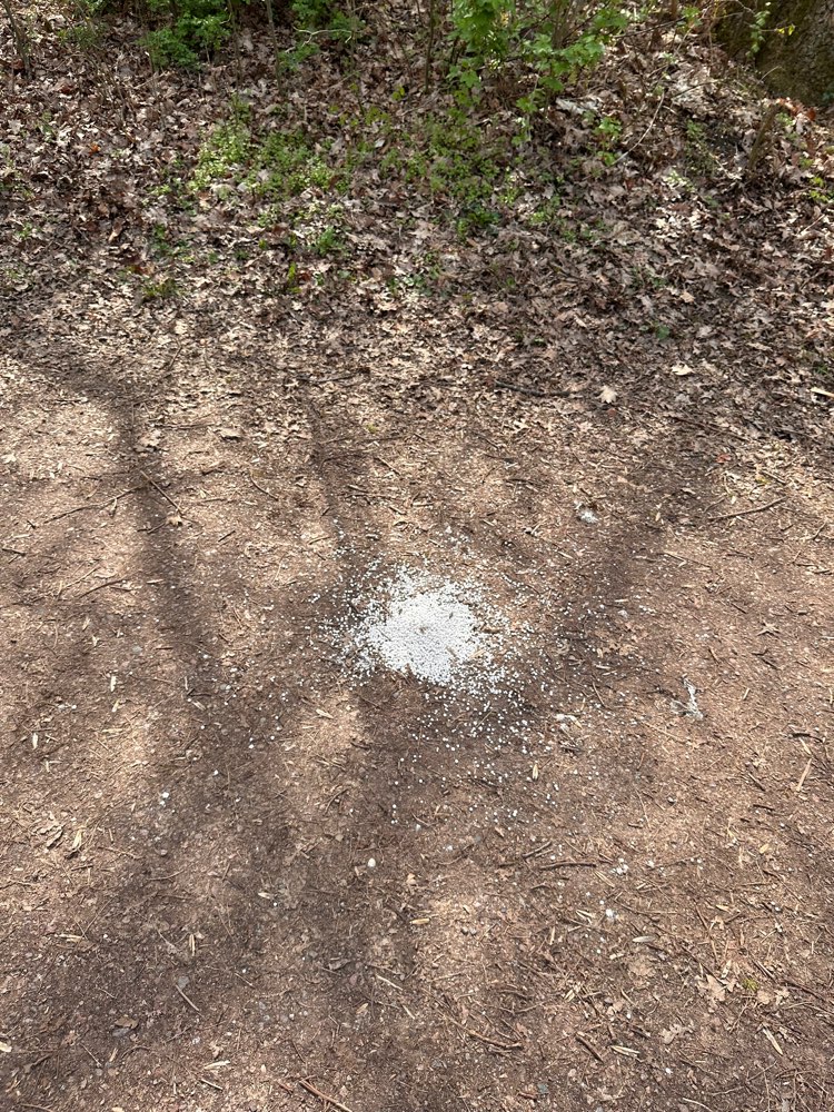 Giftköder-Weiße Kügelchen auf Waldweg verstreut-Profilbild