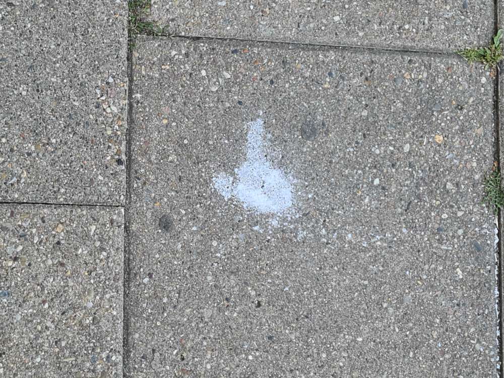 Giftköder-Weißes Pulver (Rattengift?)-Profilbild