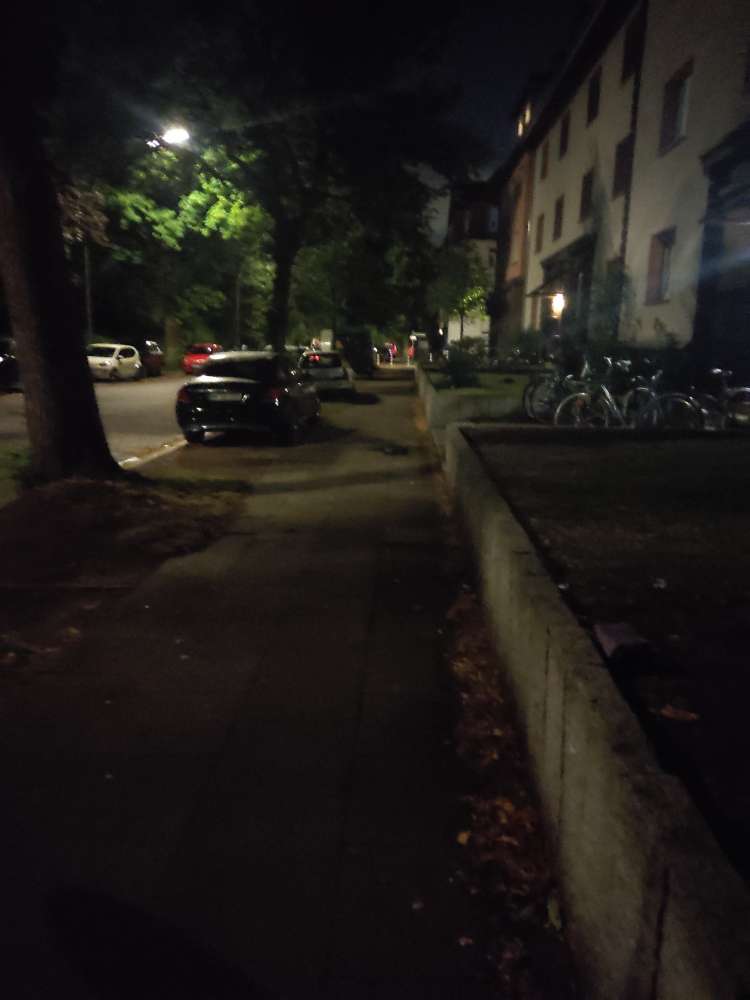 Giftköder-Rattengift-Profilbild