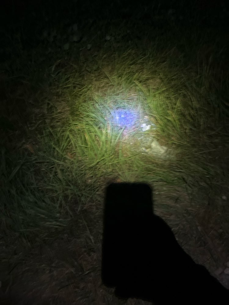 Giftköder-Zerbrochene Glasflasche-Profilbild