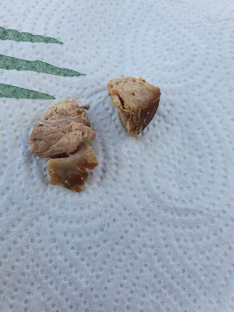 Giftköder-Fleischstücke evtl. Giftköder-Profilbild